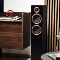 Argon Audio Forte A55 WiFi (czarny). Aktywne kolumny podłogowe. - 3
