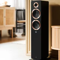 Argon Audio Forte A55 WiFi (czarny). Aktywne kolumny podłogowe. - 10
