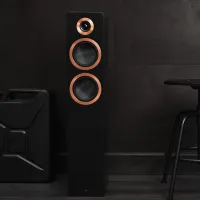 Argon Audio Forte A55 WiFi (czarny). Aktywne kolumny podłogowe. - 5