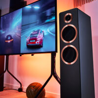 Argon Audio Forte A55 WiFi (czarny). Aktywne kolumny podłogowe. - 9
