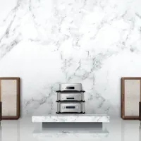 Esoteric F-01. Wzmacniacz zintegrowany stereo klasy Hi-End. - 13