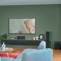 Focal Aria Evo X N°2 (zielony). Kolumny podłogowe. - 11
