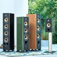 Focal Aria Evo X N°2 (zielony). Kolumny podłogowe. - 12