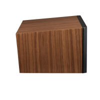 Martin Logan Motion C10 (orzech). Kolumna centralna. - 5