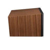 Martin Logan Motion C10 (orzech). Kolumna centralna. - 5