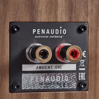 Penaudio Ambient One (orzech). Kolumny podstawkowe. - 6