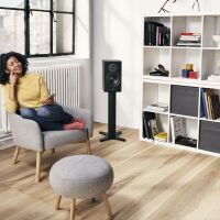 Dynaudio Emit 20 (czarny). Kolumny podstawkowe. - 6