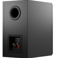 Dynaudio Emit 20 (czarny). Kolumny podstawkowe. - 5
