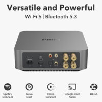 WiiM AMP Pro (ciemnoszary). Sieciowy wzmacniacz stereo. - 2