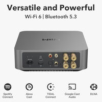 WiiM AMP Pro (ciemnoszary). Sieciowy wzmacniacz stereo. - 2