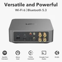 WiiM AMP Pro (ciemnoszary). Sieciowy wzmacniacz stereo. - 2
