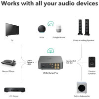 WiiM AMP Pro (ciemnoszary). Sieciowy wzmacniacz stereo. - 4