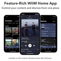 WiiM AMP Pro (ciemnoszary). Sieciowy wzmacniacz stereo. - 7