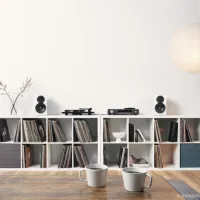 Dynaudio Emit 10 (biały). Kolumny podstawkowe. - 9