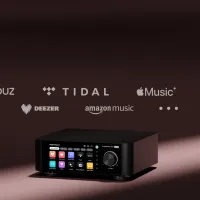 EverSolo Play. Wzmacniacz stereo z funkcjami sieciowymi. - 11