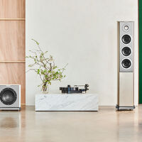 Audiovector R Sub Arreté (biały). Subwoofer aktywny. - 4