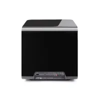 Martin Logan Depth 212 (czarny połysk). Subwoofer aktywny. - 5