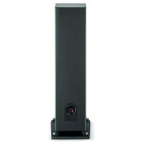 Focal Aria Evo X N°4 (zielony). Kolumny podłogowe. - 6