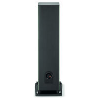 Focal Aria Evo X N°4 (zielony). Kolumny podłogowe. - 6