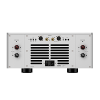Matrix Audio MA-1. Końcówka mocy. - 3