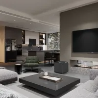 Martin Logan Grotto 15 (czarny połysk). Subwoofer aktywny. - 12
