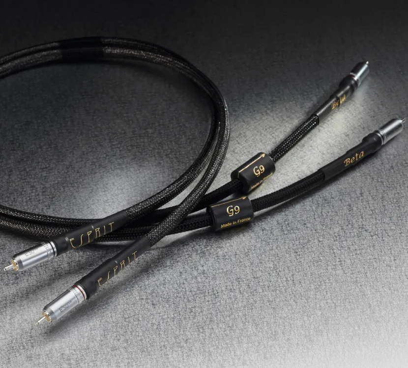 Esprit Beta. Interkonekt audio 2xRCA (1,2m).
