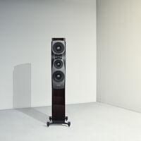 Dynaudio Confidence 30 (smoke). Kolumny podłogowe. - 7