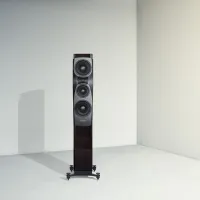 Dynaudio Confidence 30 (smoke). Kolumny podłogowe. - 7