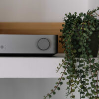 WiiM Vibelink Amp (szary). Wzmacniacz stereo. - 8