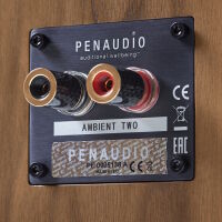 Penaudio Ambient Two (orzech). Kolumny podłogowe. - 4