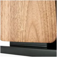 Argon Audio Forte A55 WiFi (orzech). Aktywne kolumny podłogowe. - 5