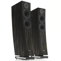 Pylon Audio Jasper 23 (heban marokański). Kolumny podłogowe. - 2