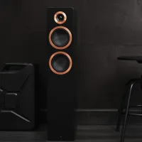 Argon Audio Forte A55 MK2 (czarny). Aktywne kolumny podłogowe. - 4