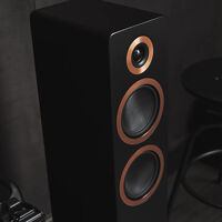 Argon Audio Forte A55 MK2 (czarny). Aktywne kolumny podłogowe. - 5