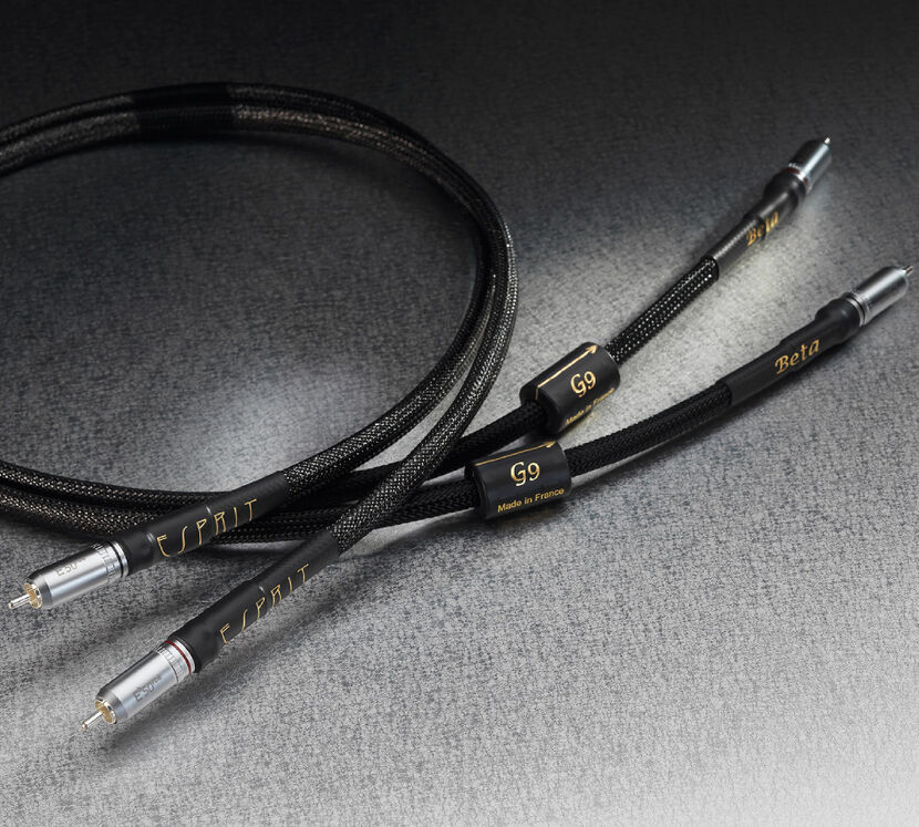 Esprit Beta. Interkonekt audio 2xRCA (0,6m).