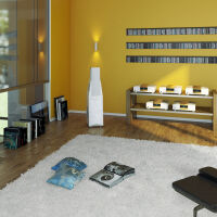MBL Cadenza Line Mono Power Amplifier C15 (biały/chrom). Końcówka mocy Mono. - 13