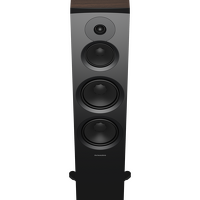Dynaudio Emit 50 (orzech). Kolumny podłogowe. - 3