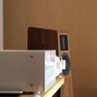 Esprit Amelia (czarny). Kolumny podłogowe. - 13