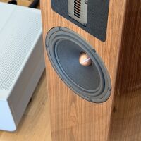 Esprit Amelia (czarny). Kolumny podłogowe. - 15