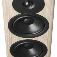Dynaudio Evoke 30 (blonde). Kolumny podłogowe. - 6