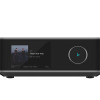 WiiM Amp Ultra (ciemnoszary). Sieciowy wzmacniacz stereo. - 4