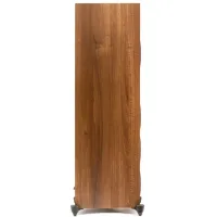 Martin Logan Foundation F1 (orzech). Kolumna podłogowa. - 4