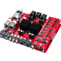 iFi Audio Pro iCan Signature. Wzmacniacz słuchawkowy. - 5