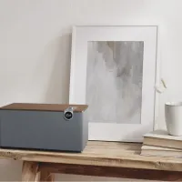 Klipsch The Three Plus (orzech). Stacjonarny głośnik Bluetooth. - 7