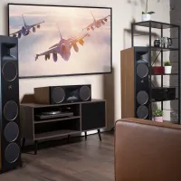 Martin Logan Motion XT F200 (orzech). Kolumny podłogowe. - 10