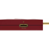 iFi Audio iDefenderMAX. Reduktor szumów ze złącza USB. - 11