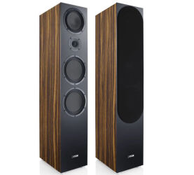 Canton GLE 90 S2 (makassar). Kolumna podłogowa.